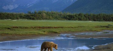 Национальный парк Катмай на Аляске
