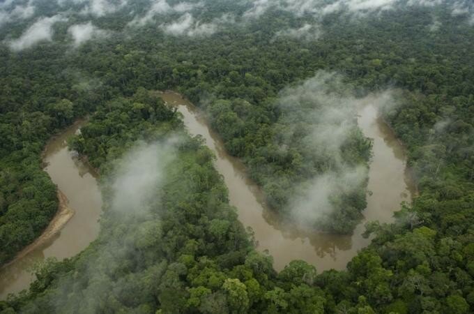 Парк Амазония с высоты птичьего полета