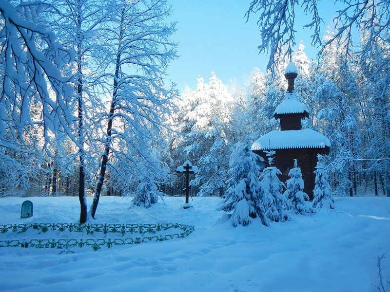 Орловское Полесье зимой