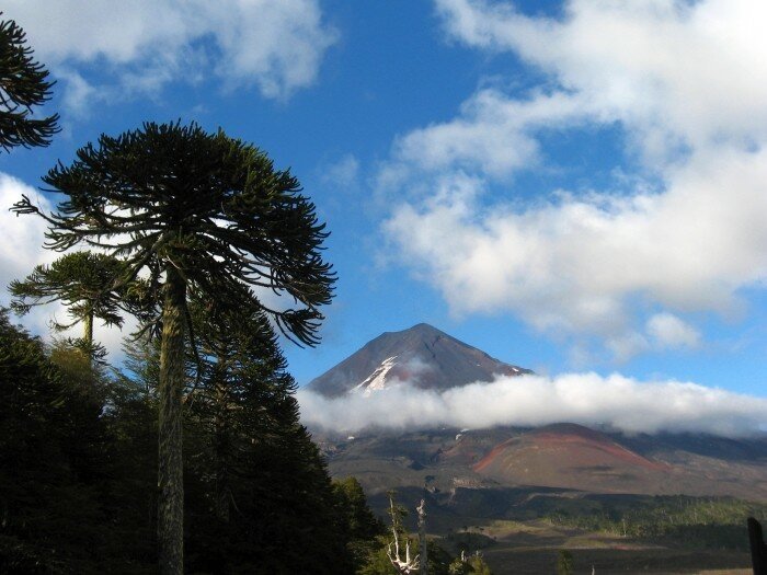 Вулкан Льяйма на территории резервата Араукариас после извержения 2008 года