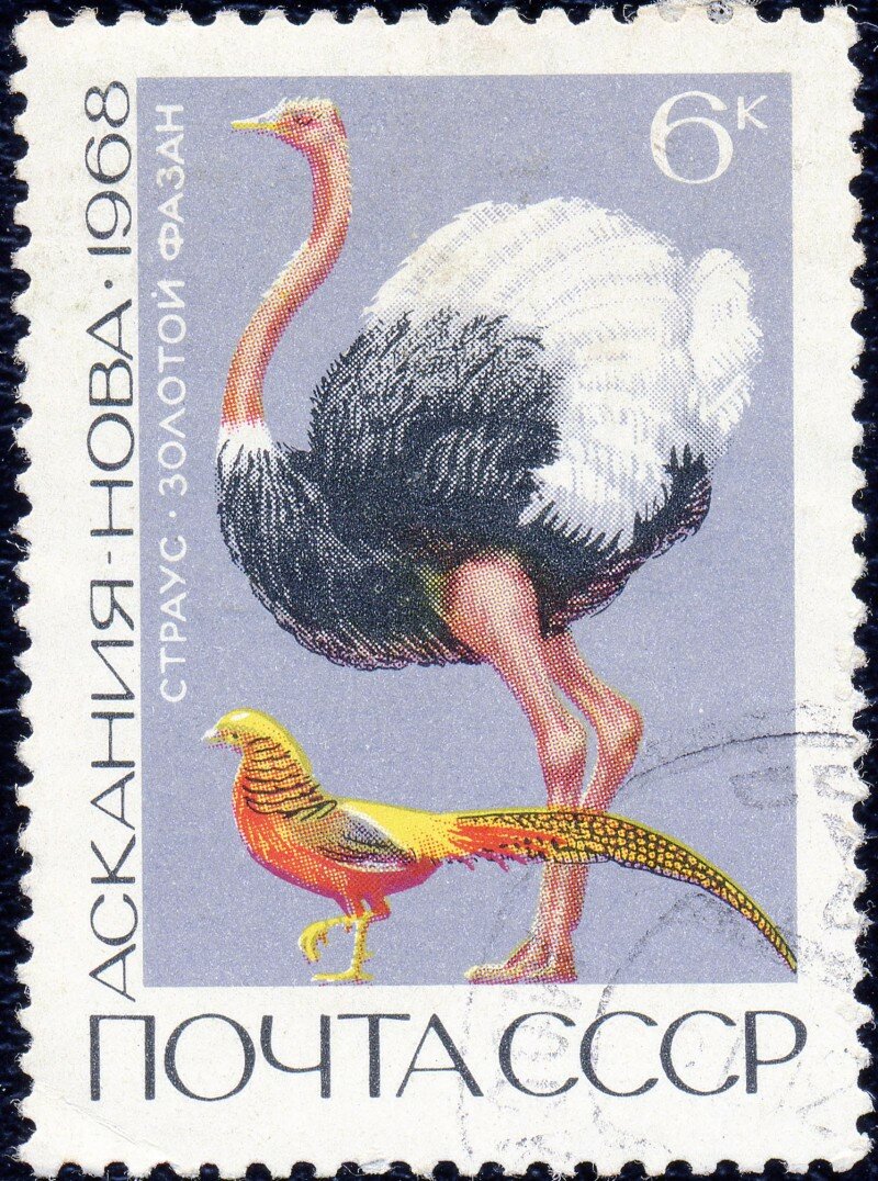 Почтовая марка ССС со страусом и золотым фазаном