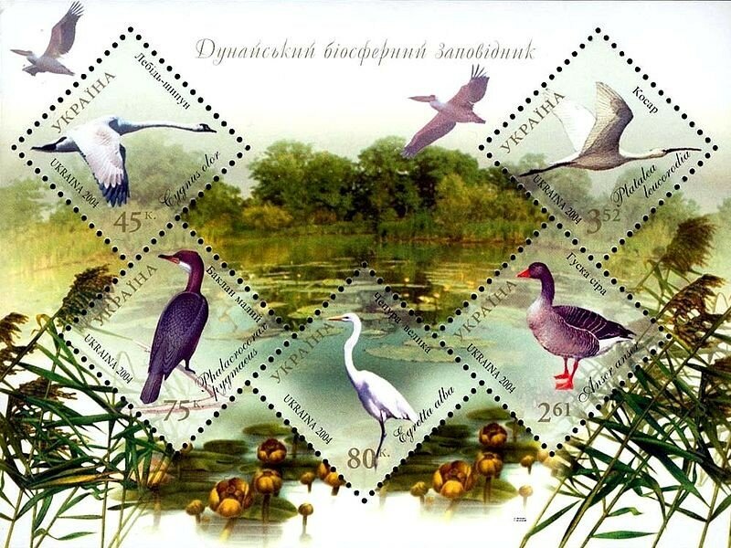 Птицы Дунайского заповедника