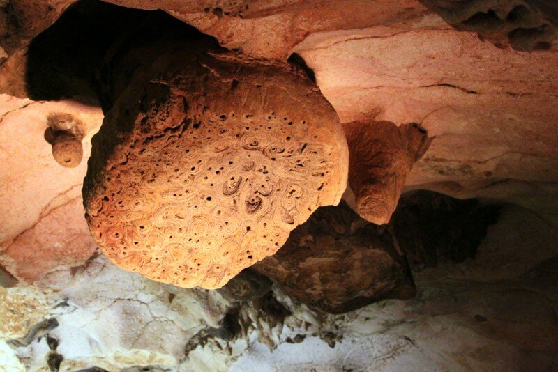 Образование в пещере Эмине-Баир-Хосар