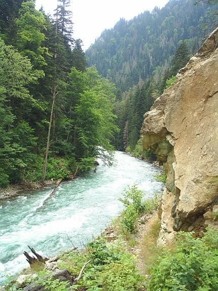 Река Цахвоа в центральной части Кавказского заповедника